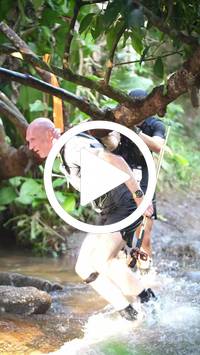 BIB:  <button type="button" onclick="openModal(27808375)" class="btn btn-primary btn-sm float-right" data-toggle="modal" data-target=".modal-high-quality">
                <i class="fa fa-download"></i> Download
                </button>